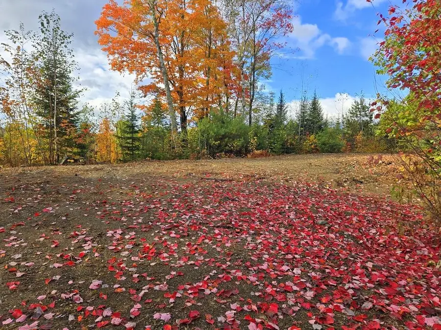 Lot 28A.1 East Madrid Road, Phillips, ME 04966 - Image #2