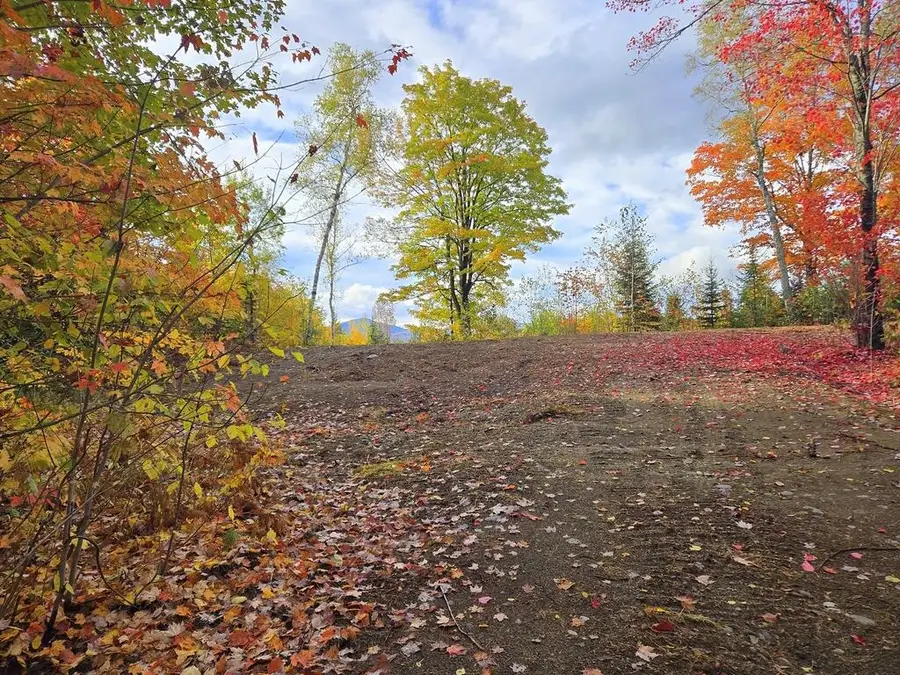Lot 28A.1 East Madrid Road, Phillips, ME 04966 - Image #3