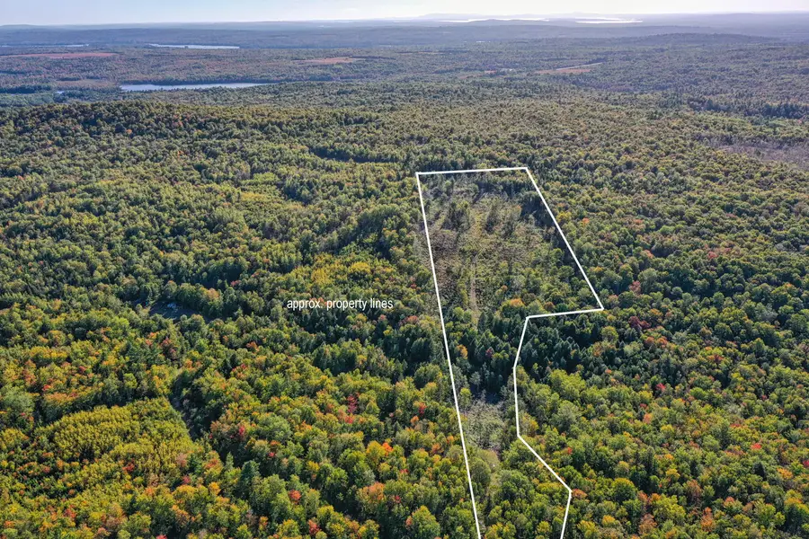 Lot 37 Wedge Heights Road, Orland, ME 04472 - Image #3