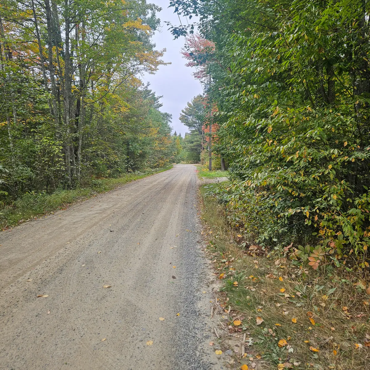 206 Morrison Farm Road, Mariaville, ME 04605 - Image #1