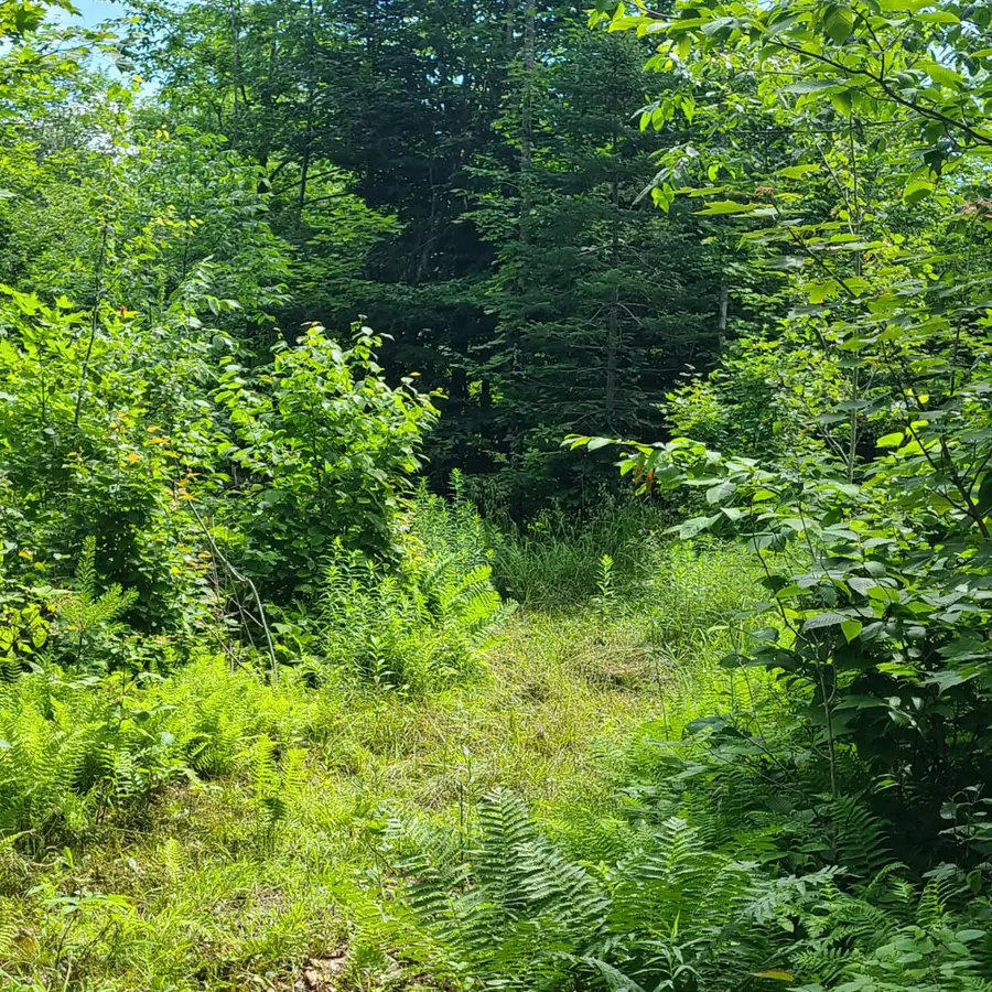 40 Bubier Road, Wilton, ME 04294 - Image #3