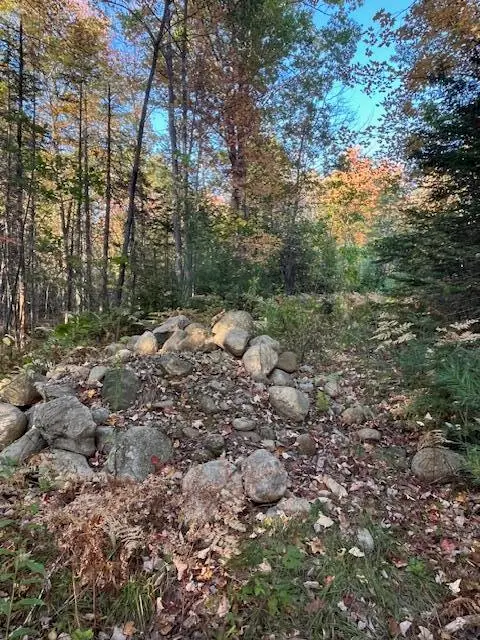 Lot 22 Taylor Woods Road, Bethel, ME 04217 - Image #1