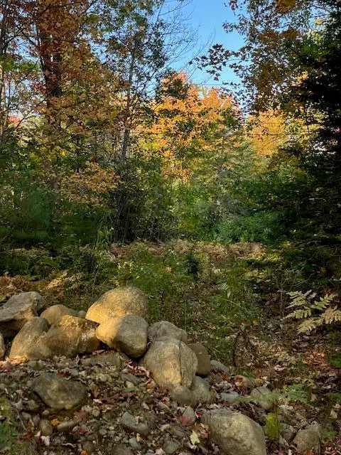 Lot 22 Taylor Woods Road, Bethel, ME 04217 - Image #3