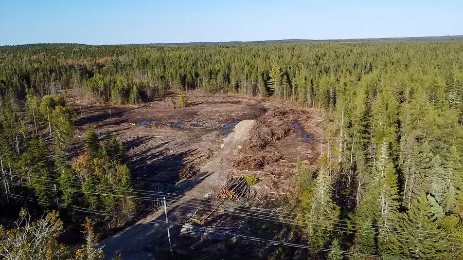 Map 06 Lots #16,16-2,16-3 Cutler Road, Cutler, ME 04626 - Image #2