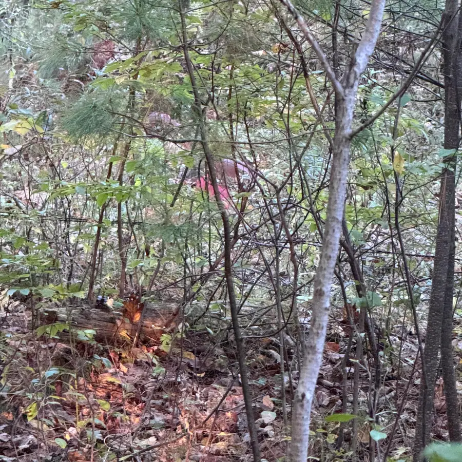 24-4,25-10 Chapman Lane, Kennebunk, ME 04043 - Image #3