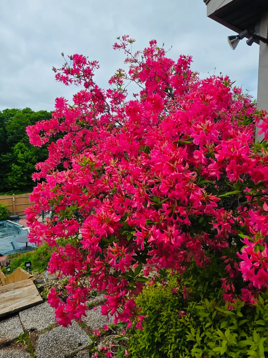 28 Messina Drive, Skowhegan, ME 04976 - Image #3