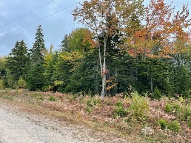 Lot #17-34 Dolly Head Estates Road, Steuben, ME 04680 - Image #2