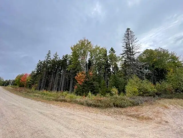 Lot #17-34 Dolly Head Estates Road, Steuben, ME 04680 - Image #3