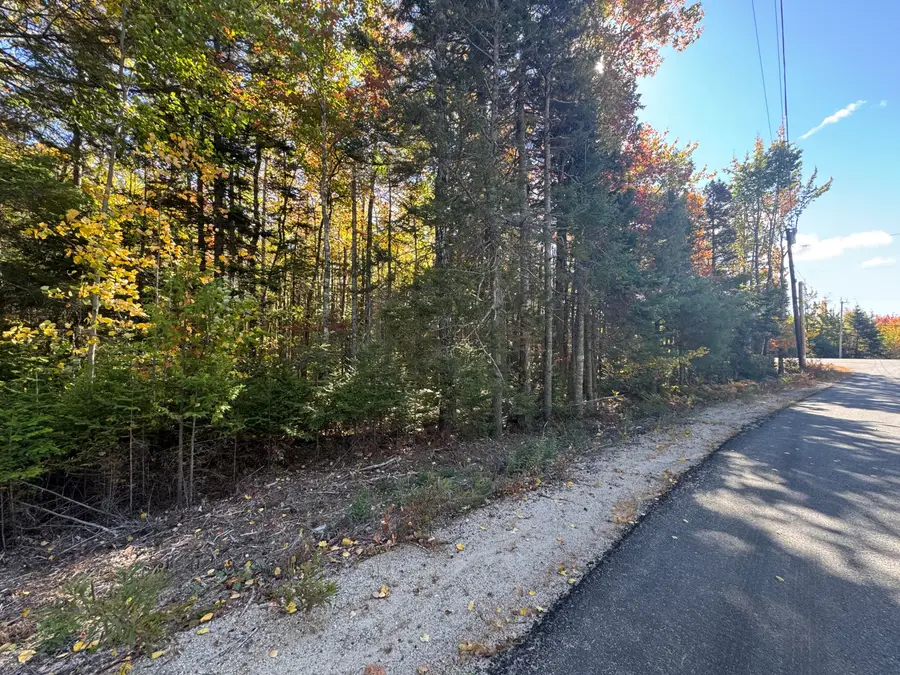 023-003-4 Walters Road, Gouldsboro, ME 04607 - Image #3