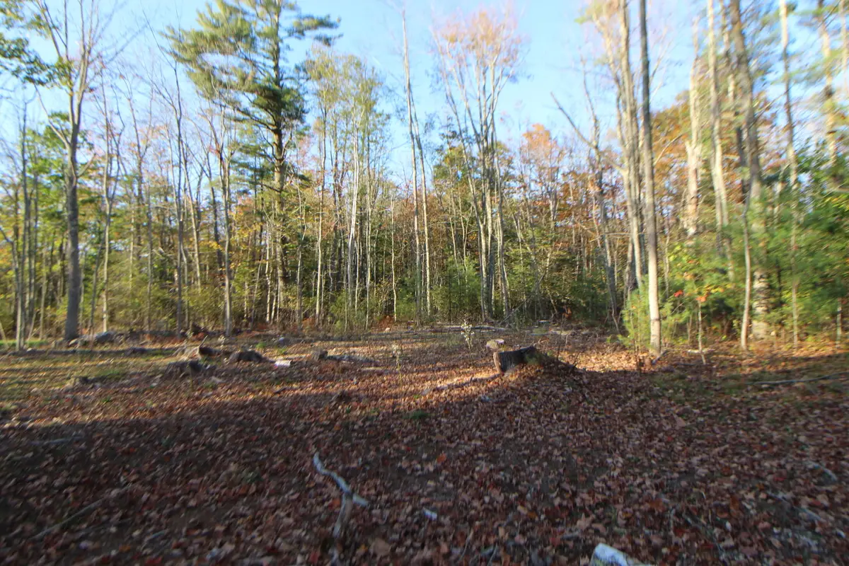 53-03 Race Course Road, Bucksport, ME 04416 - Image #1