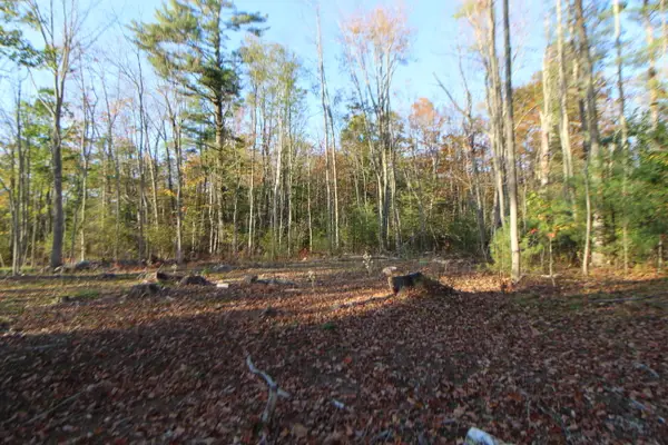 53-03 Race Course Road, Bucksport, ME 04416