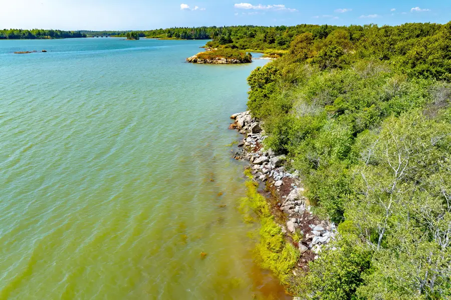 Lot #3 Seaberry Landing Road, Jonesport, ME 04649 - #2