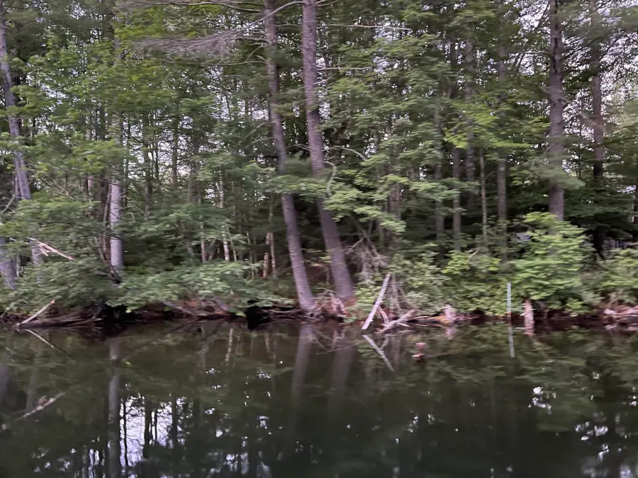 Lot 11 Dillingham Road, Naples, ME 04055 - Image #2