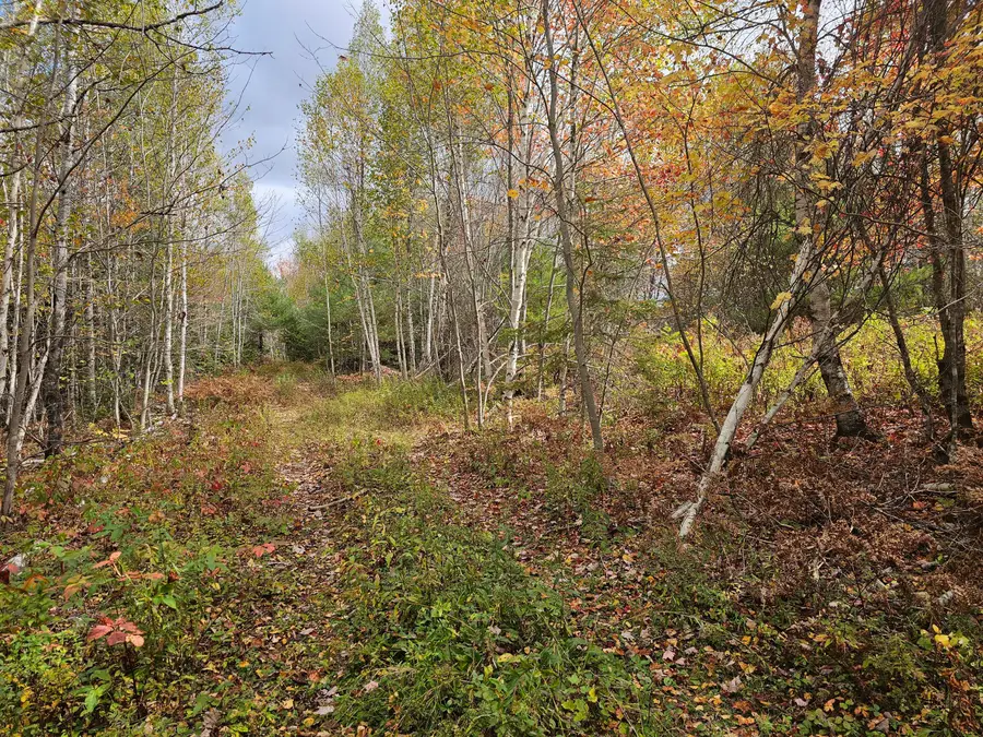 Map R09, Lot 12, Fox Run Drive, Mariaville, ME 04605 - Image #3
