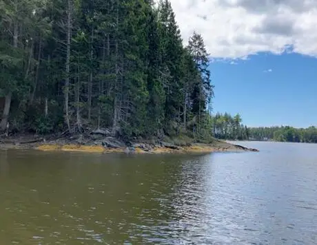 253 Hathorne Point Road, Cushing, ME 04563 - Image #1