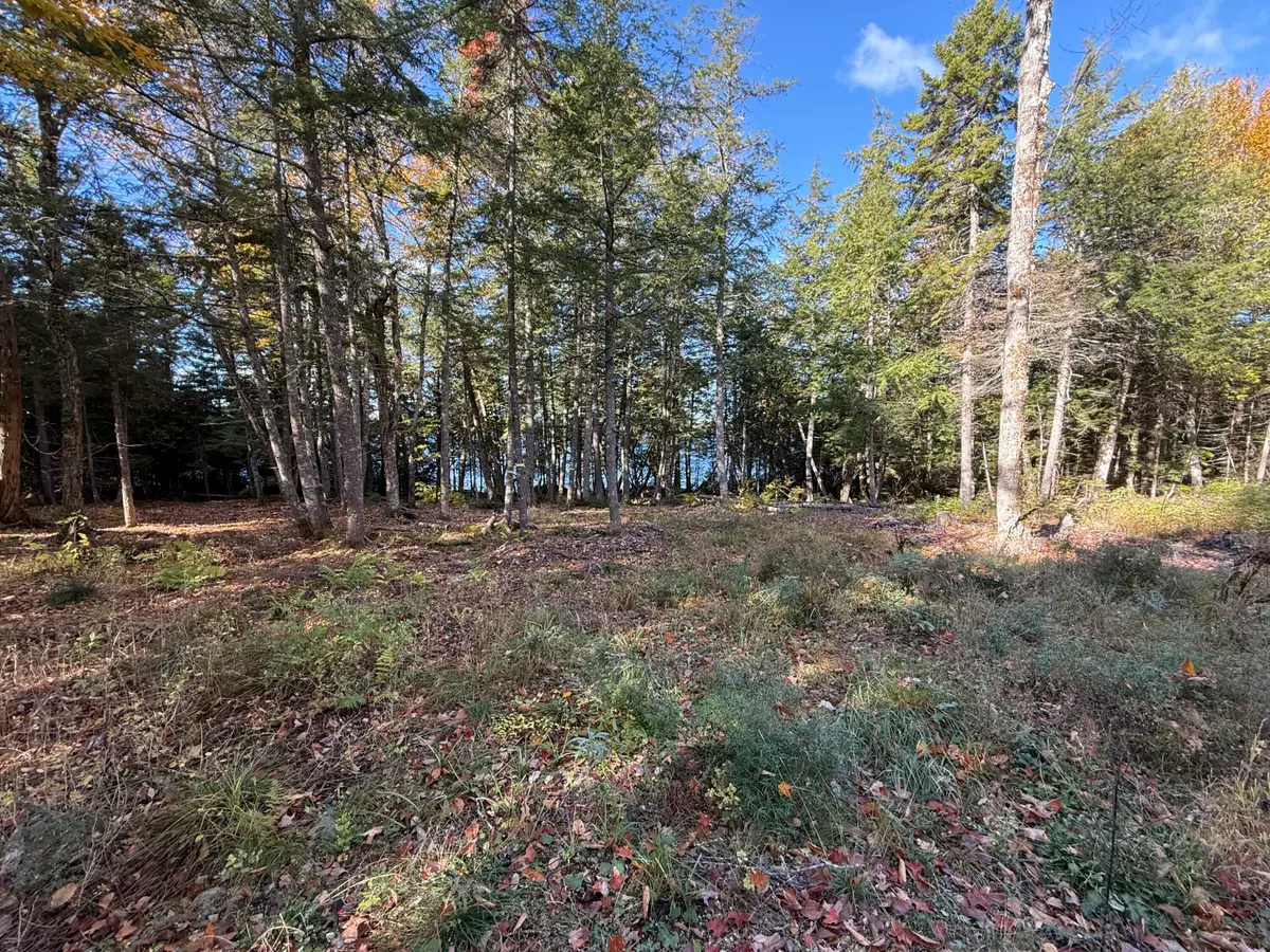 2 East Shore Road, Glenwood, ME 04497 - Image #1