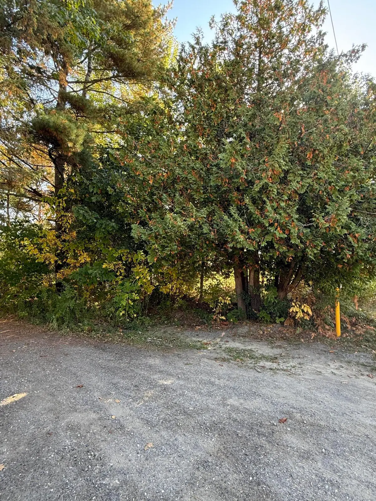 802 Stillwater Avenue, Old Town, ME 04468 - Image #1