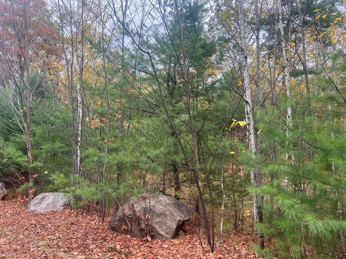 Lot 29 Deer View, Bethel, ME 04217 - Image #1