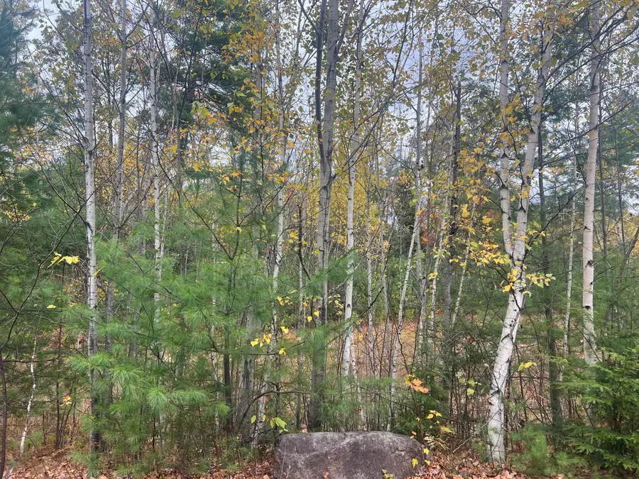 Lot 29 Deer View, Bethel, ME 04217 - Image #2
