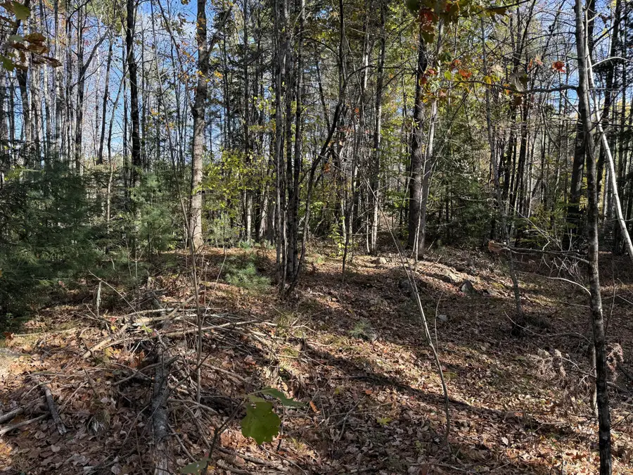 TBD Green Acres, Hollis, ME 04042 - Image #2