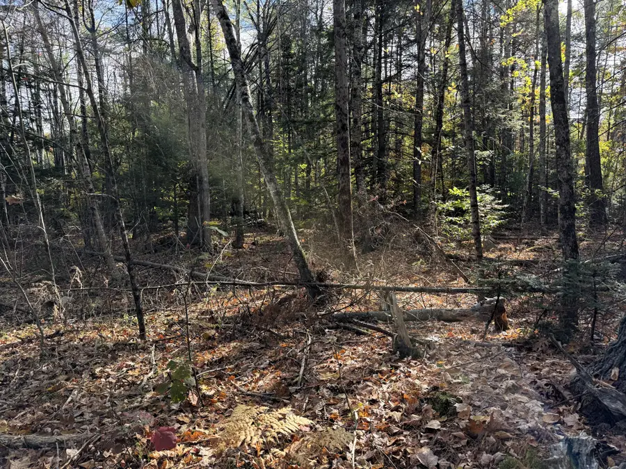 TBD Green Acres, Hollis, ME 04042 - Image #3