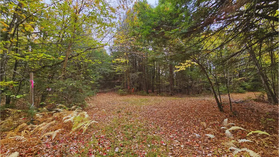 009-007 Lilly Drive, Newport, ME 04953 - Image #2