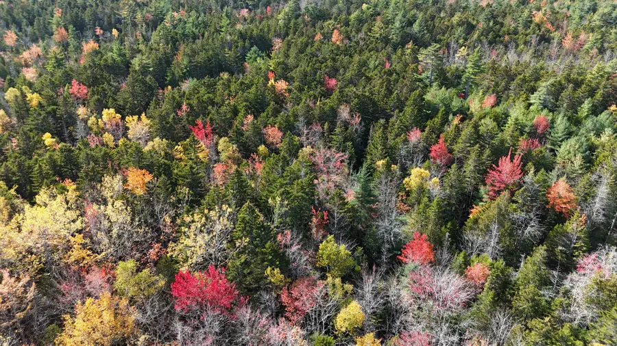 020-078 Blue Hill, Blue Hill, ME 04614 - Image #2