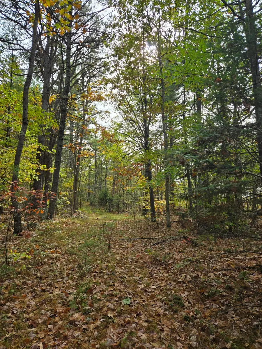 133 Plantation Lane, Brownfield, ME 04010 - Image #3