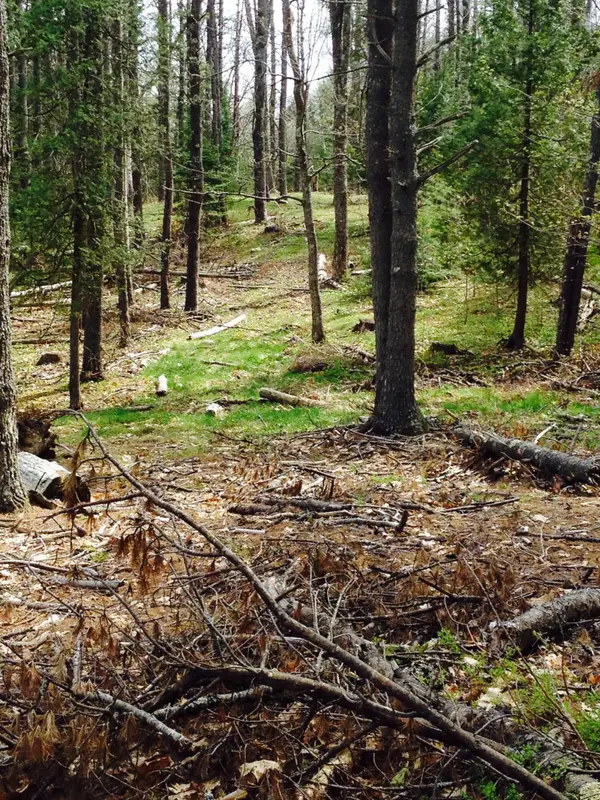 18 Peterson Lane, Brunswick, ME 04011