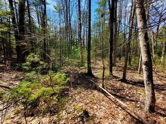 Lot #11B Sanford Road, Wells, ME 04090 - Image #2