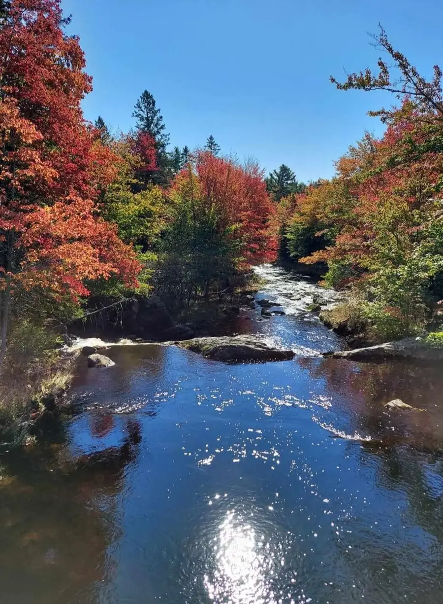 425 Saco Road, Columbia, ME 04623 - #2