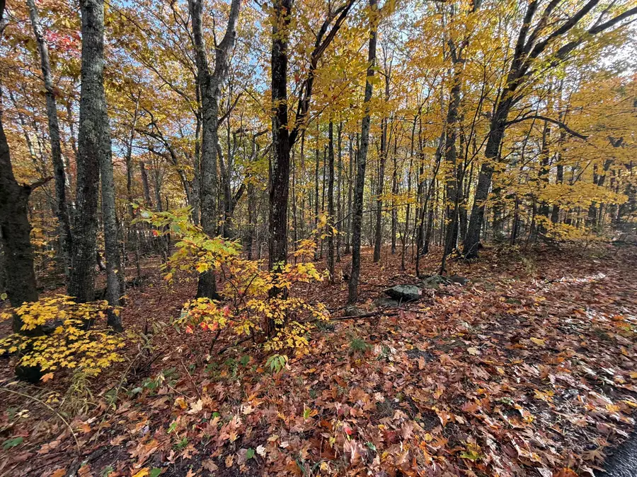 TBD Map 15, Lot 150 Mt. Pleasant Street, Rockport, ME 04856 - Image #3