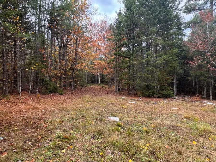 14 Vinegar Hill Road, Lowell, ME 04493 - Image #3