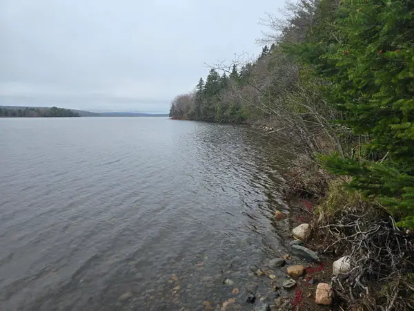 Lot C Deer Point Road, Robbinston, ME 04671