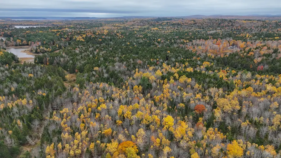 Lot 3-B West Branch Road, Mariaville, ME 04605 - #3