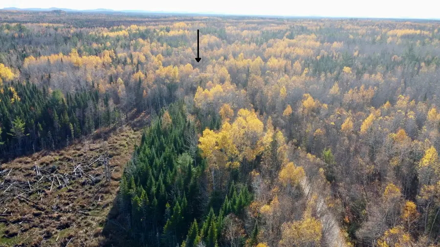 76 Wolf Run Trail, Greenbush, ME 04418 - Image #3