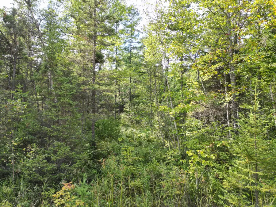Lot 39 Seboeis Road, Howland, ME 04448 - Image #2