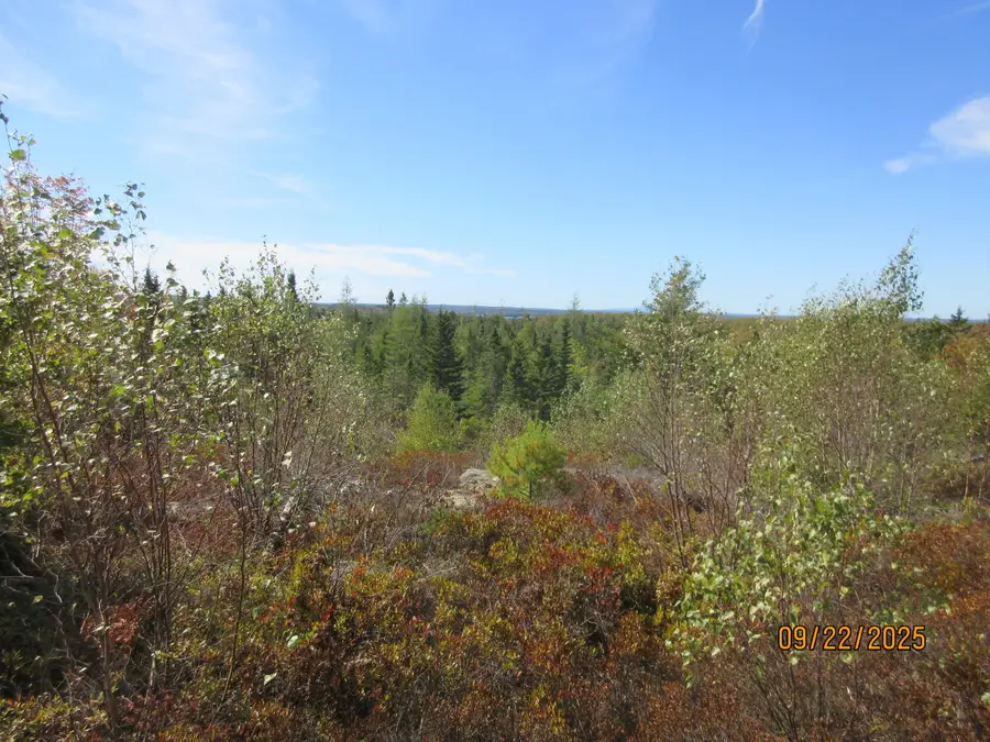 Lot #7 Highland Road, Addison, ME 04606 - Image #2