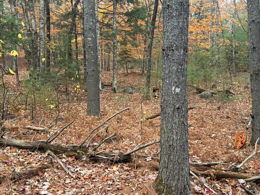 L55 Storer Hill Road, Carthage, ME 04224 - Image #3