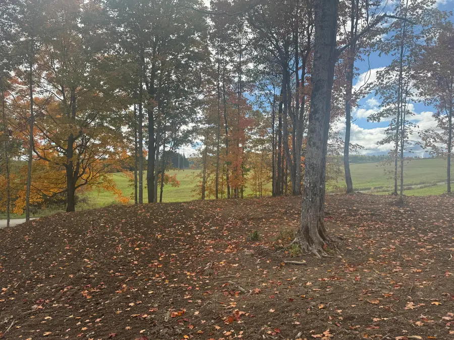 Map2BLot93 Fox Road, New Canada, ME 04743 - Image #3