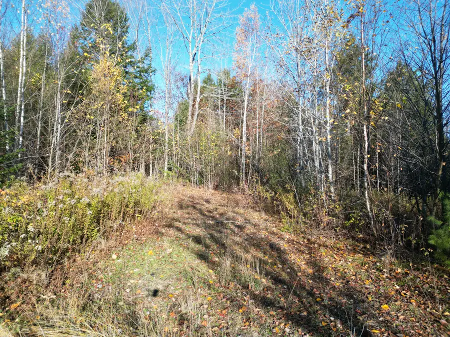 Lot 18-1 Mattamiscontis Road, Howland, ME 04448 - Image #3