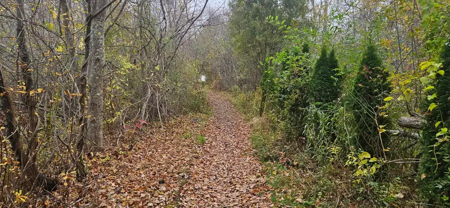 4 Surfore Road, York, ME 03909 - Image #3