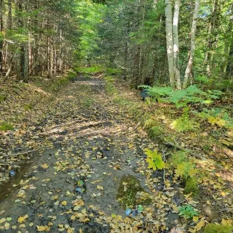 862 Hemore Road, Hammond, ME 04730