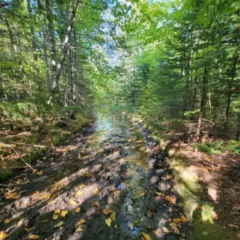 862 Hemore Road, Hammond, ME 04730 - Image #3