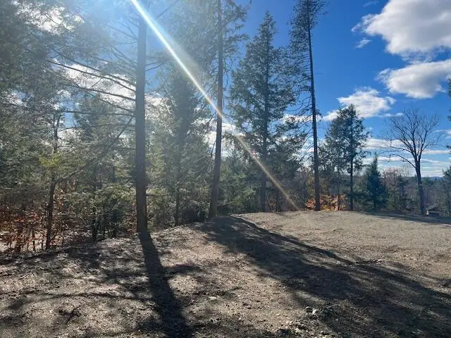 Lot 5 Peterson Road, Bowerbank, ME 04426 - Image #3