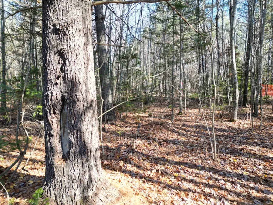 Lot 7A James Way, Lincoln, ME 04457 - Image #3