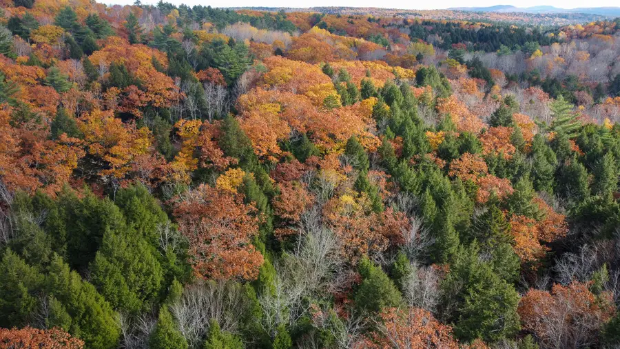 Lot 2 Darci Lane, Montville, ME 04941 - Image #3