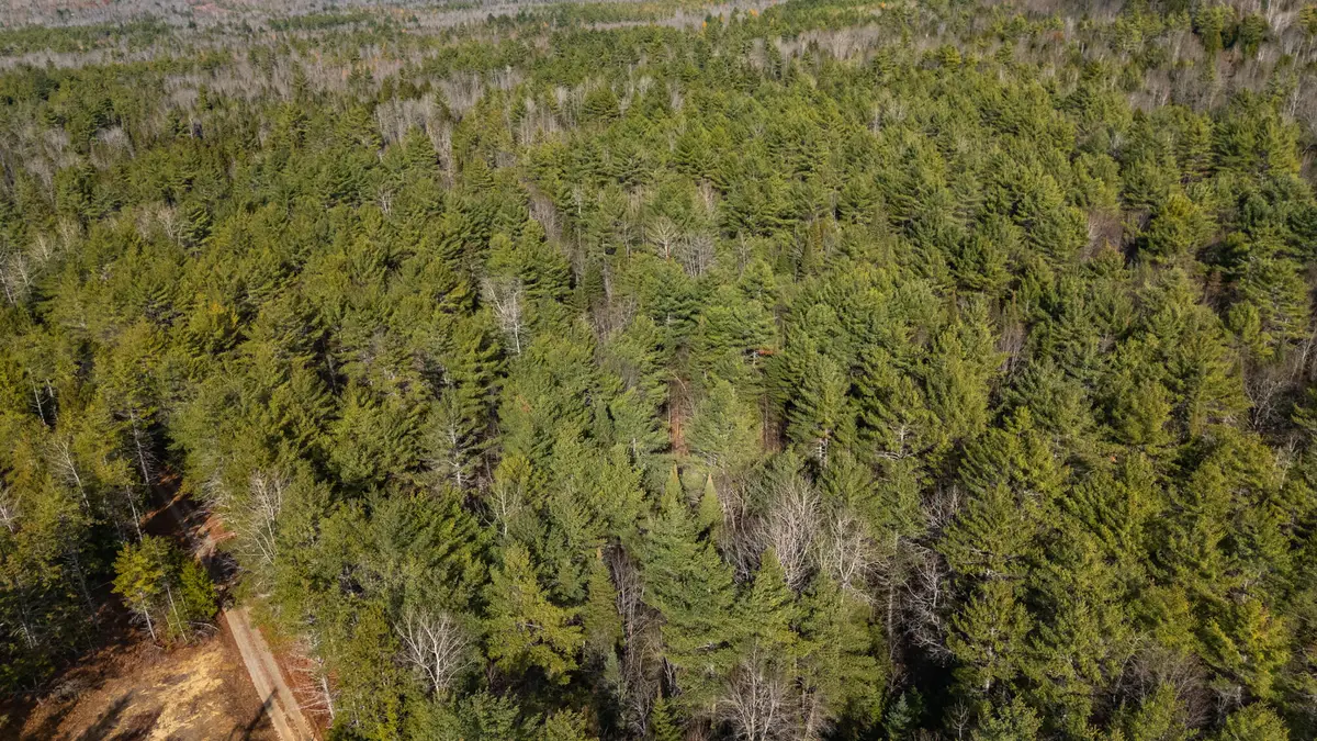 116 New Harrison Road, Oxford, ME 04270 - #1