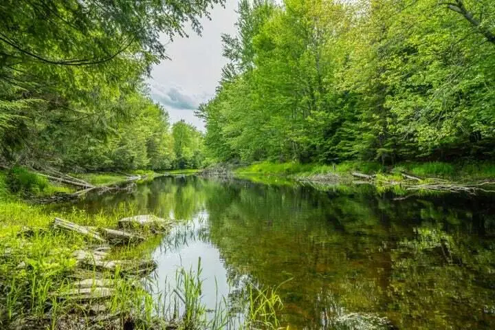 Lot 88-1 Appleton Ridge Road, Searsmont, ME 04973 - Image #2