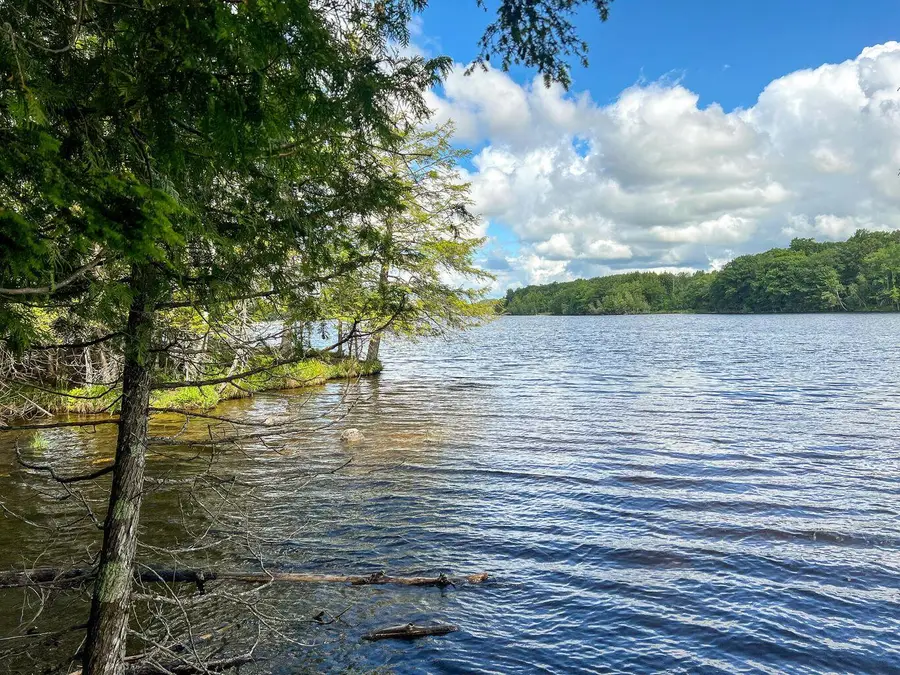 568 Pattagumpus Road, Medway, ME 04460 - Image #3